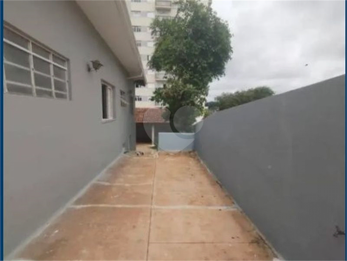 Foto REO1073980