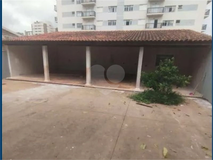Foto REO1073980