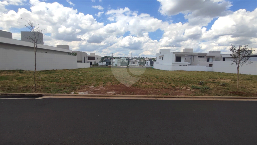 Foto REO1073988