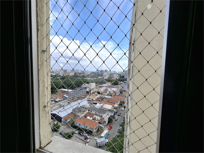 Foto REO1074011