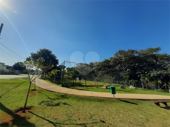 Foto REO1074039