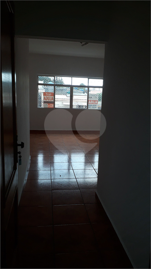 Foto REO1074045