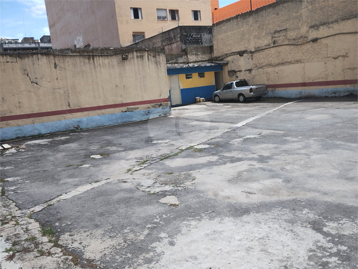 Foto REO1074046