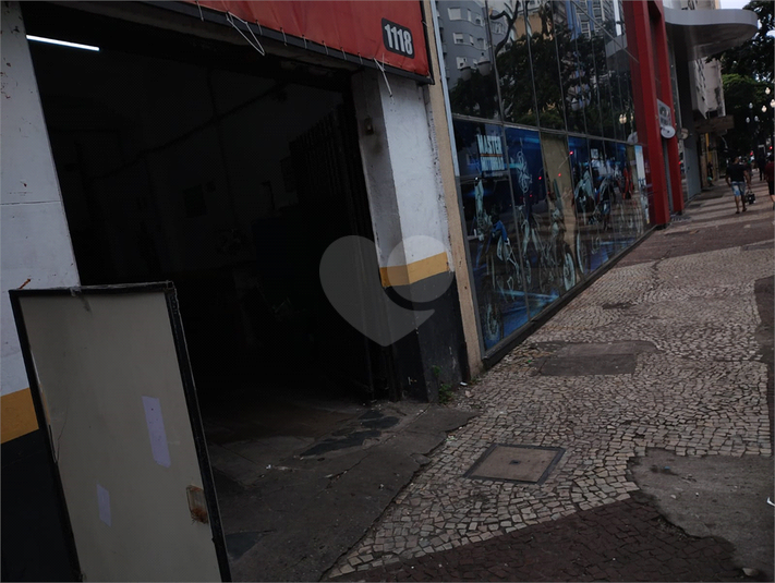 Foto REO1074046
