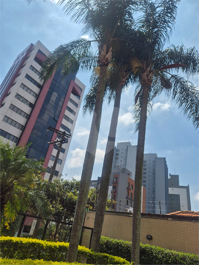 Foto REO1074048
