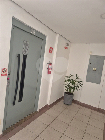 Foto REO1074048