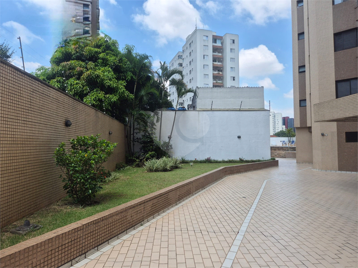Foto REO1074048