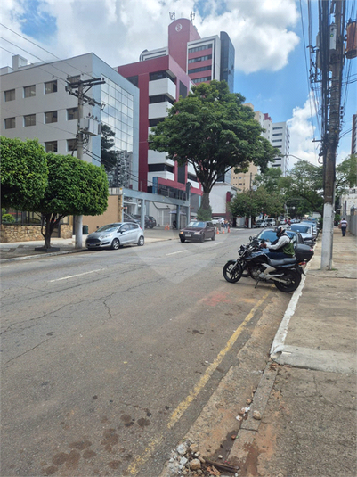 Foto REO1074048