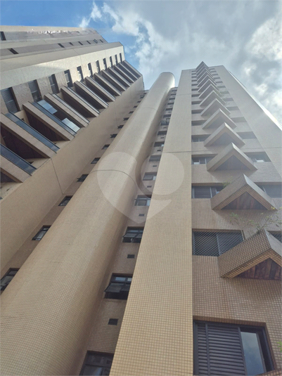 Foto REO1074048