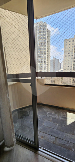 Foto REO1074069