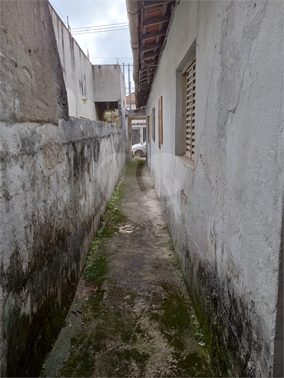 Foto REO1074080