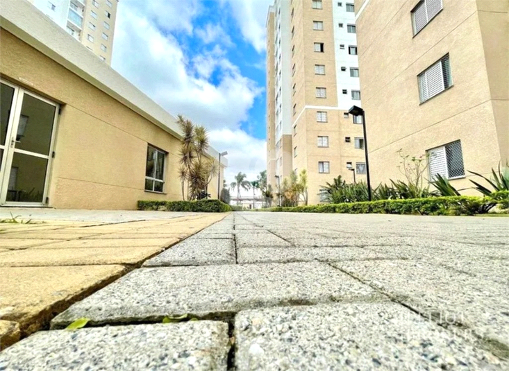 Foto REO1074177