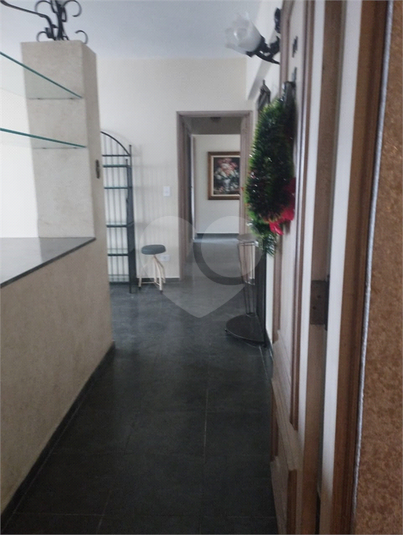 Foto REO1074191