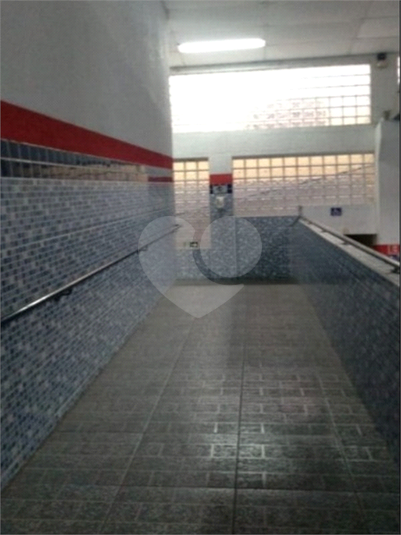 Foto REO1074202