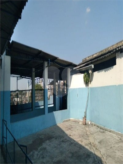 Foto REO1074202