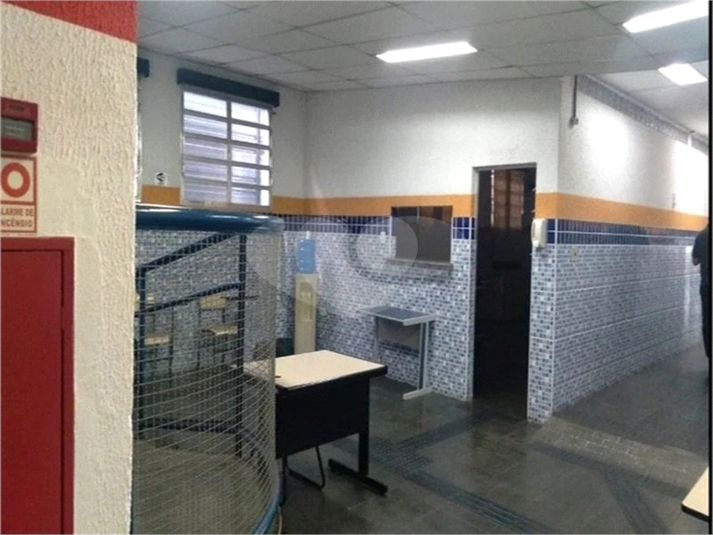 Foto REO1074202