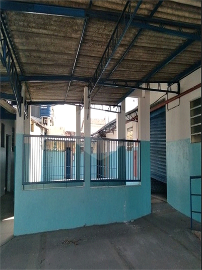 Foto REO1074202