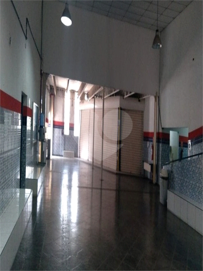 Foto REO1074202