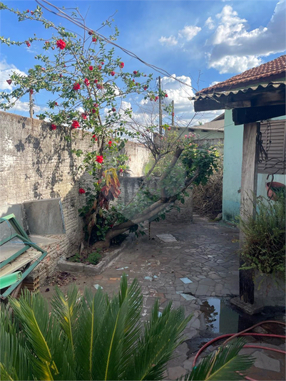 Foto REO1074224