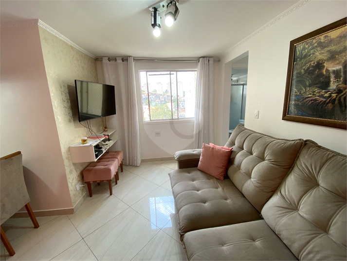Foto REO1074229