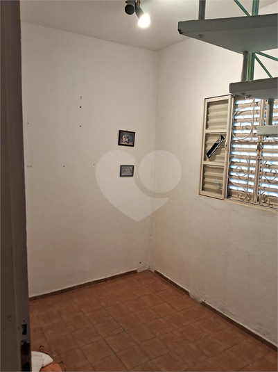 Foto REO1074238