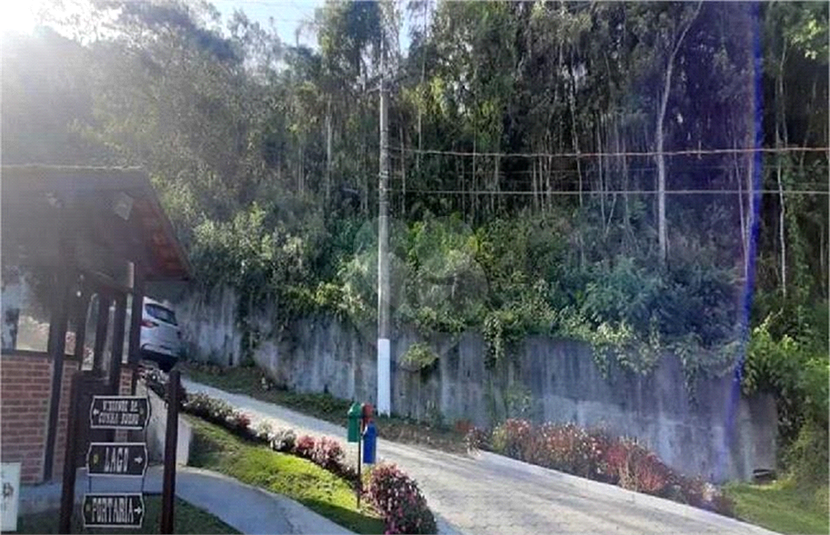 Foto REO1074241