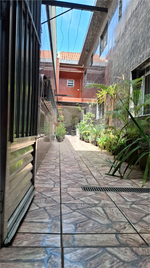 Foto REO1074246