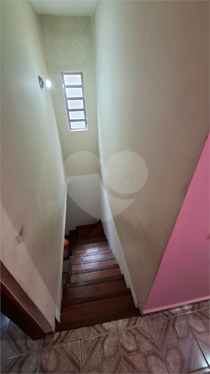 Foto REO1074246