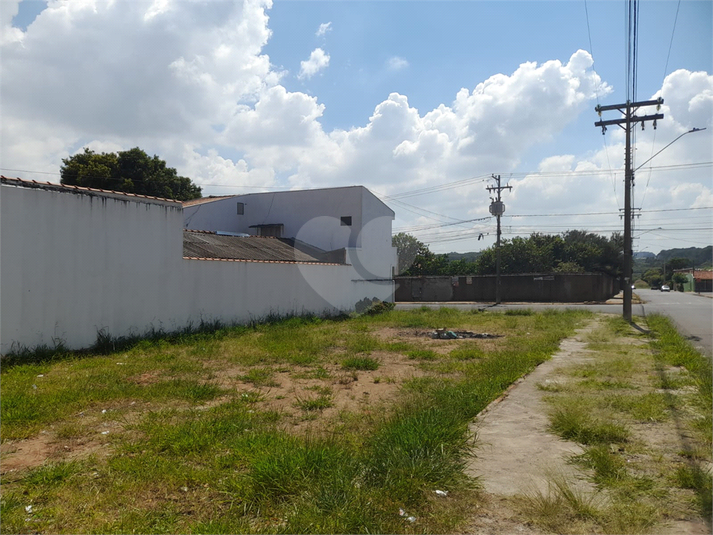Foto REO1074261
