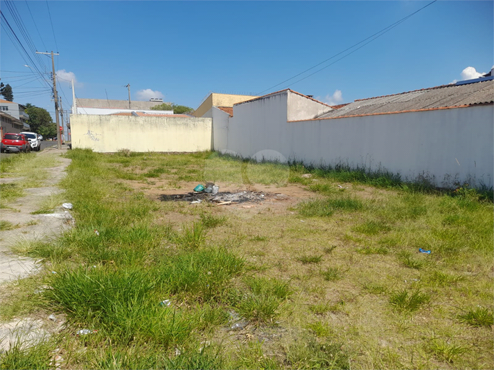 Foto REO1074261