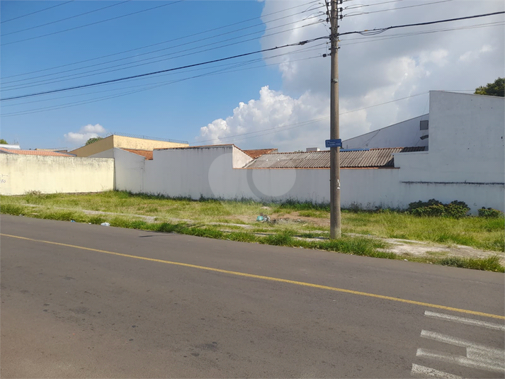 Foto REO1074261