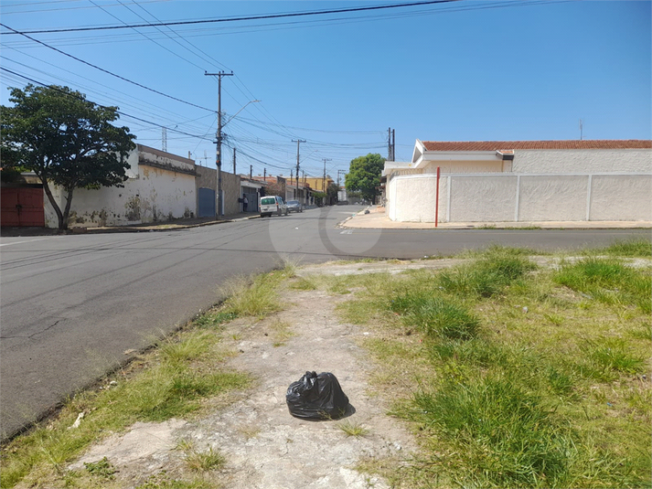 Foto REO1074261