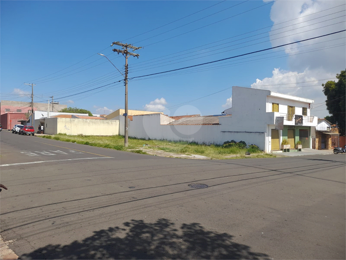 Foto REO1074261