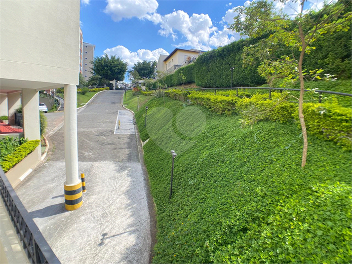 Foto REO1074269