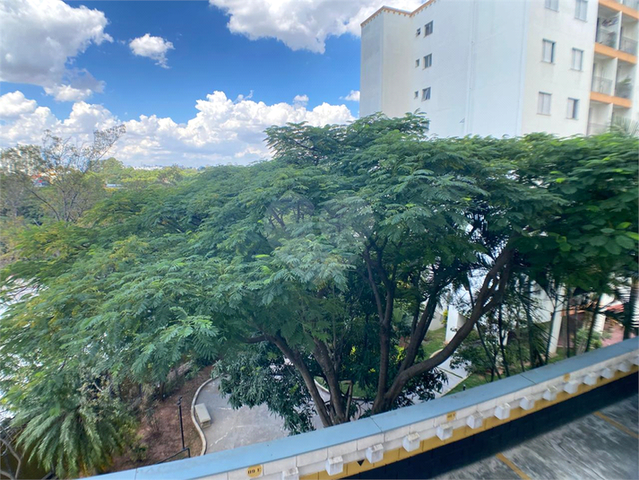 Foto REO1074269