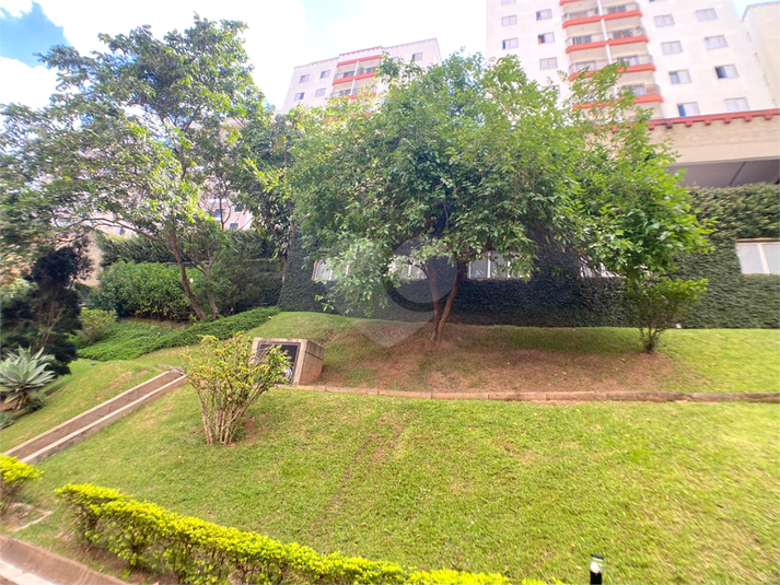 Foto REO1074269
