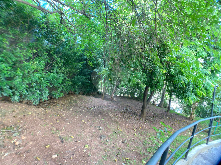 Foto REO1074269