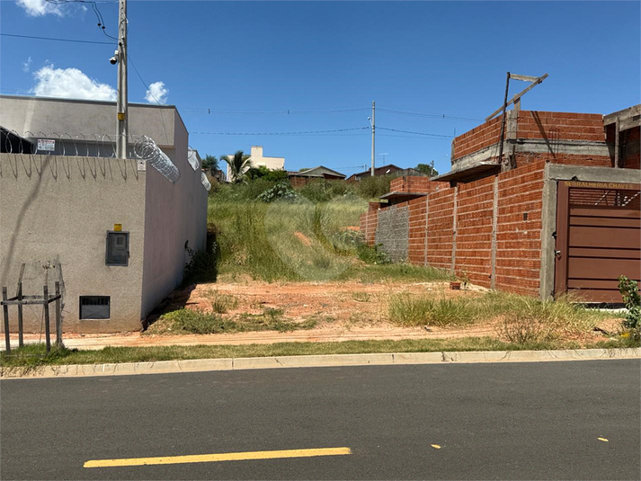Foto REO1074273