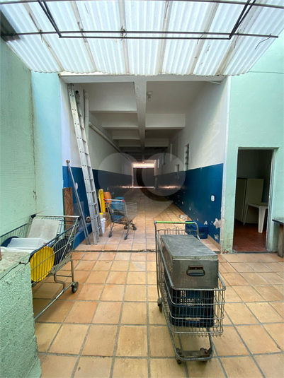 Foto REO1074308