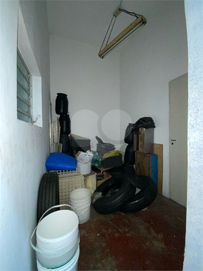 Foto REO1074308