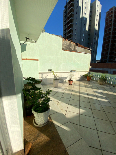 Foto REO1074308