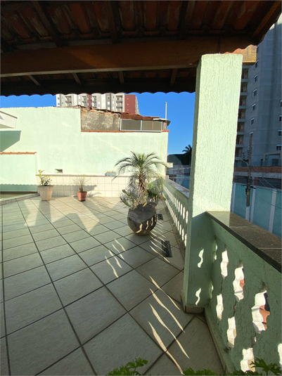 Foto REO1074308