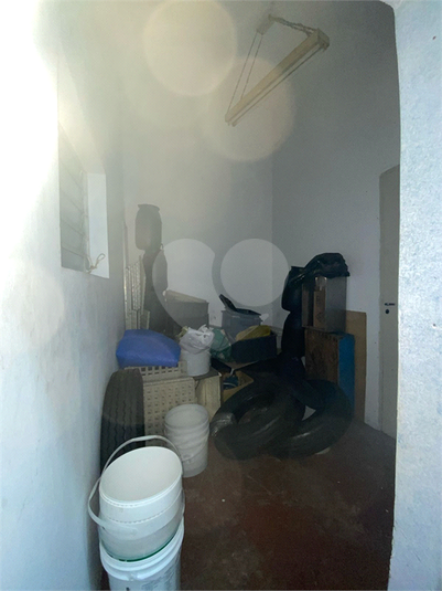 Foto REO1074308