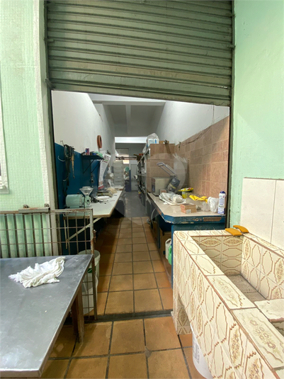 Foto REO1074308