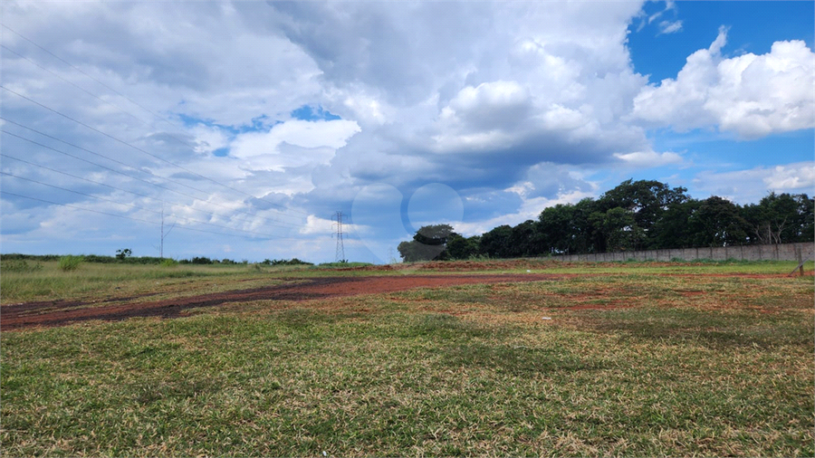 Foto REO1074348