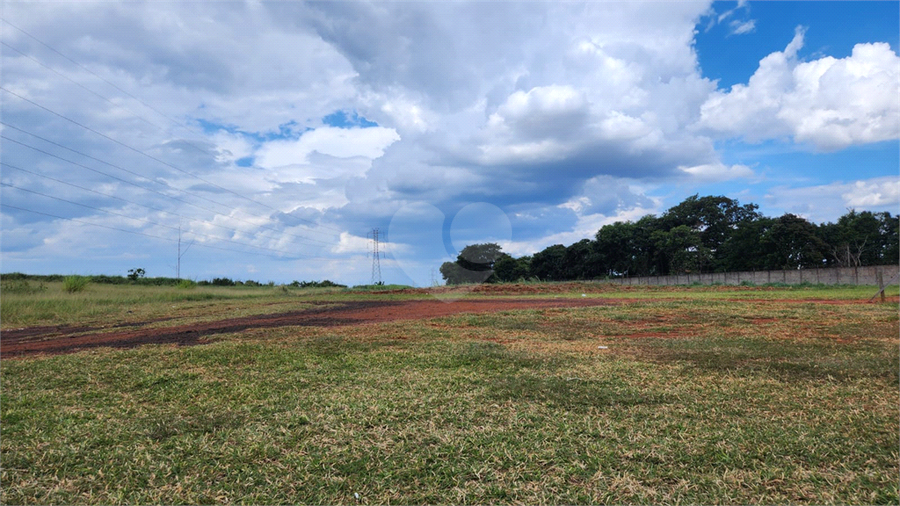 Foto REO1074348