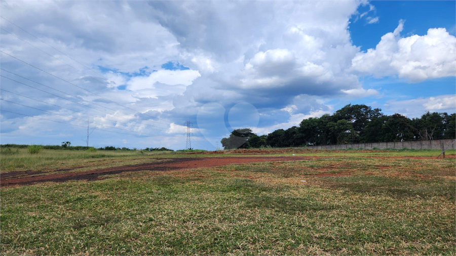 Foto REO1074348