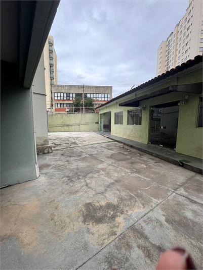 Foto REO1074380