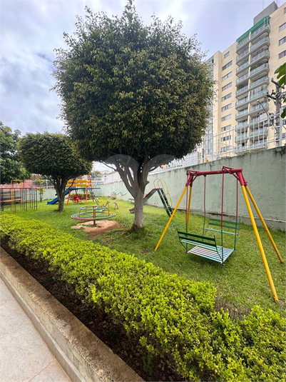 Foto REO1074380