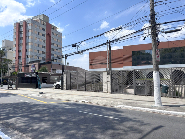 Foto REO1074394